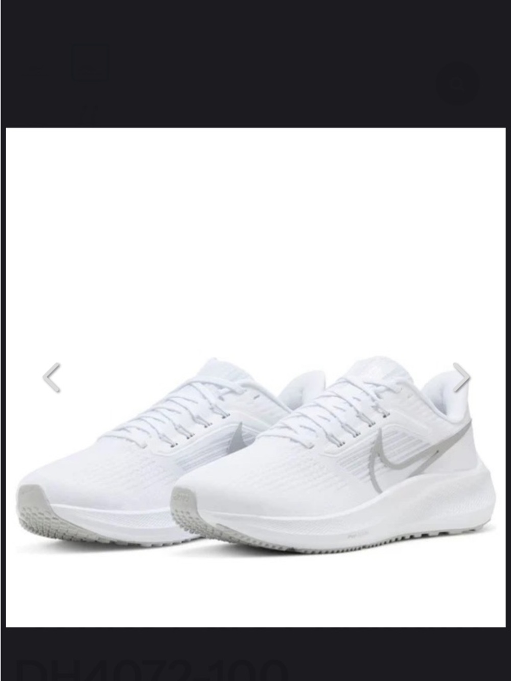 Nike Pegasus 40